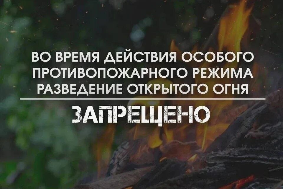 В Малоярославецком районе объявлен особый противопожарный режим.