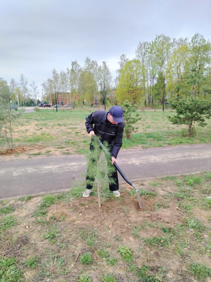 В Детчино прошел Всероссийский субботник.
