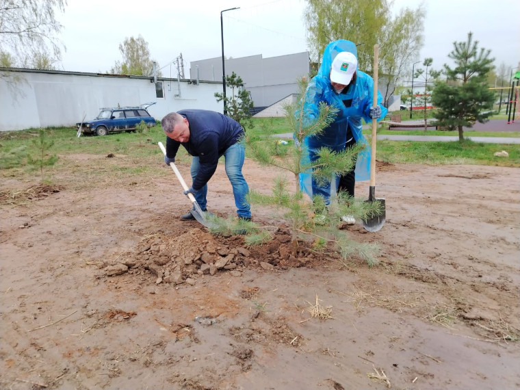 В Детчино прошел Всероссийский субботник.